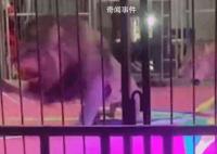 黑龙江一马戏团狮子突然撕咬员工 看着都心惊胆颤