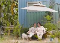 广州夫妻把17㎡集装箱当婚房 过上自给自足的田园生活