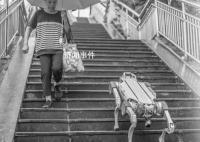 法媒:机器人“接管”杭州亚运会