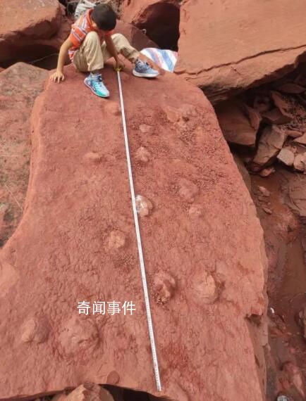 男孩河床边玩耍发现恐龙脚印 专家：其中一组蜥脚类恐龙幻迹现世罕见