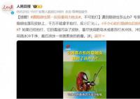 遇隐翅虫第一反应要用力吹走 隐翅虫号称飞行的硫酸