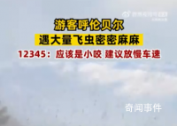 呼伦贝尔一地现大量飞虫 一般对身体没有害处