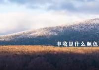 丰收里的中国色 尽显中华韵味
