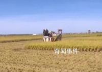 金秋农忙好“丰”景 重农固本安民之基