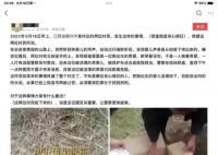 江西一村庄有人活埋婴儿?谣言