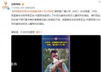 英国鳄鱼专家性侵数十只小狗 法官警告继续听取指控可能引起强烈不适
