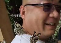 男版香妃 游客引来蝴蝶落满身
