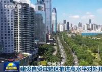 建设自贸试验区推进高水平对外开放