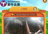 女子花8000元网上“云养”一头猪 难预约因屠宰周期较长