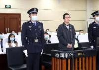 紫光集团原董事长赵伟国受审 赵伟国个人资料简介
