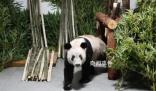 莫斯科行动文咏珊曝复古造型秘诀