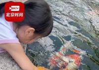 小女孩用小月饼喂50斤胖锦鲤 真相公开后震惊了不少网友