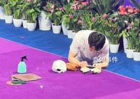 韩国体操选手尹真星微笑面对失误 韩国体操选手尹真星火了
