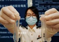 女子水果里藏49只昆虫入境被查 已按规定被依法销毁
