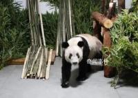 莫斯科行动文咏珊曝复古造型秘诀