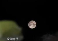各地网友晒明月堪比摄影大赛 上演了超级月亮