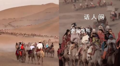 敦煌又双叒叕堵骆驼了 队伍壮大望不到边
