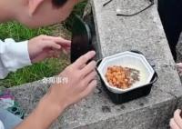 黄山游客被大学生志愿者热情投喂 网友纷纷给小伙点赞