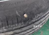 京哈高速上钉子洒落 数十辆车被扎
