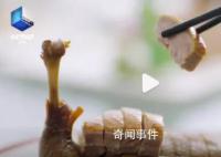 广东人一年能吃掉8亿只鸡 广东地图像鸡腿的原因找到了