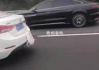 网友开晒国庆返程后备箱 瓜果蔬菜各种土特产就连鸡鸭都得挂车上