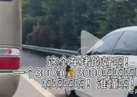 举报高速违章1分钟赚3000元?