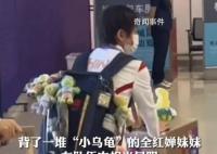 全红婵画了自己最喜欢的小乌龟 为什么在书包上挂满小乌龟