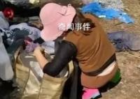 迷笛盗窃事件或受短视频误导 有人直播曾释放现场帐篷没人要的信息
