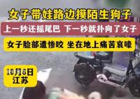 女子摸陌生狗面部惨遭撕咬 背后真相太恐怖了