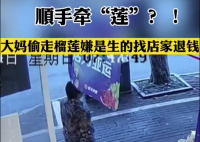 大妈偷走榴莲嫌是生的找店家退钱 网友:给她一个小金人
