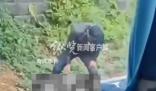 黄石通报男子当街锤人致死 案件正在全力侦办中