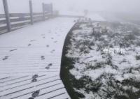 北京延庆下雪了 注意添衣谨防感冒