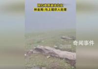 网红草原遍地垃圾 官方回应