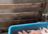 烤鸭店回应在厕所浸泡鸭子 空间有限偶尔放一下