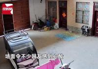 女儿一遍遍喊妈妈女子看后连夜赶回 这个小小的呼喊触动了无数人的心