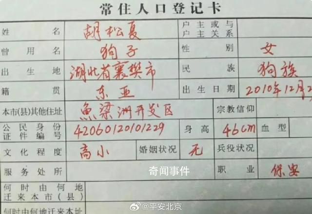 警方谈“把狗写户口本上”:或担责
