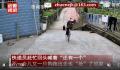 主人不在家快递显示狗已签收 网友爆笑：比人还精