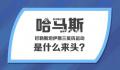 120秒看懂哈马斯的前世今生 巴以新一轮冲突已致双方超1000人死