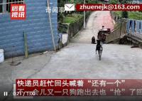 主人不在家快递显示狗已签收 网友爆笑：比人还精