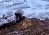 西藏希夏邦马峰发生雪崩 登山者有两人遇难两人失踪1人重伤