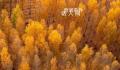 用中国传统色打开秋天 一起感受多彩秋日下的大美中国