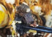 市监局介入调查高校食堂鼠头事件 具体以官方通告为准