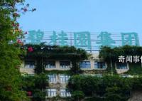 碧桂园宣告启动境外债重组 前9个月销售同比降43.9%