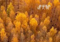 用中国传统色打开秋天 一起感受多彩秋日下的大美中国