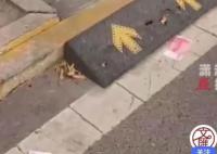 街道现满地百元大钞路人笑称不敢捡 目前已经找到失主