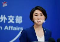 被劫混血女性是中国公民吗?中方回应
