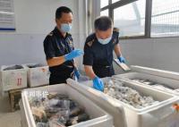 货车运5380只吸血鬼蟹入境被查 目前已作进一步处理