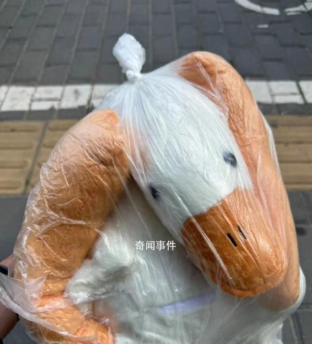 网购电动车到货是玩偶 京东介入