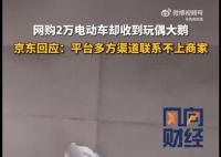 男子网购2万元电动车收到玩偶大鹅 引起了广泛关注