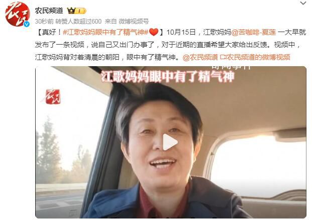 江歌妈妈眼中有了精气神 称不会被任何人道德绑架